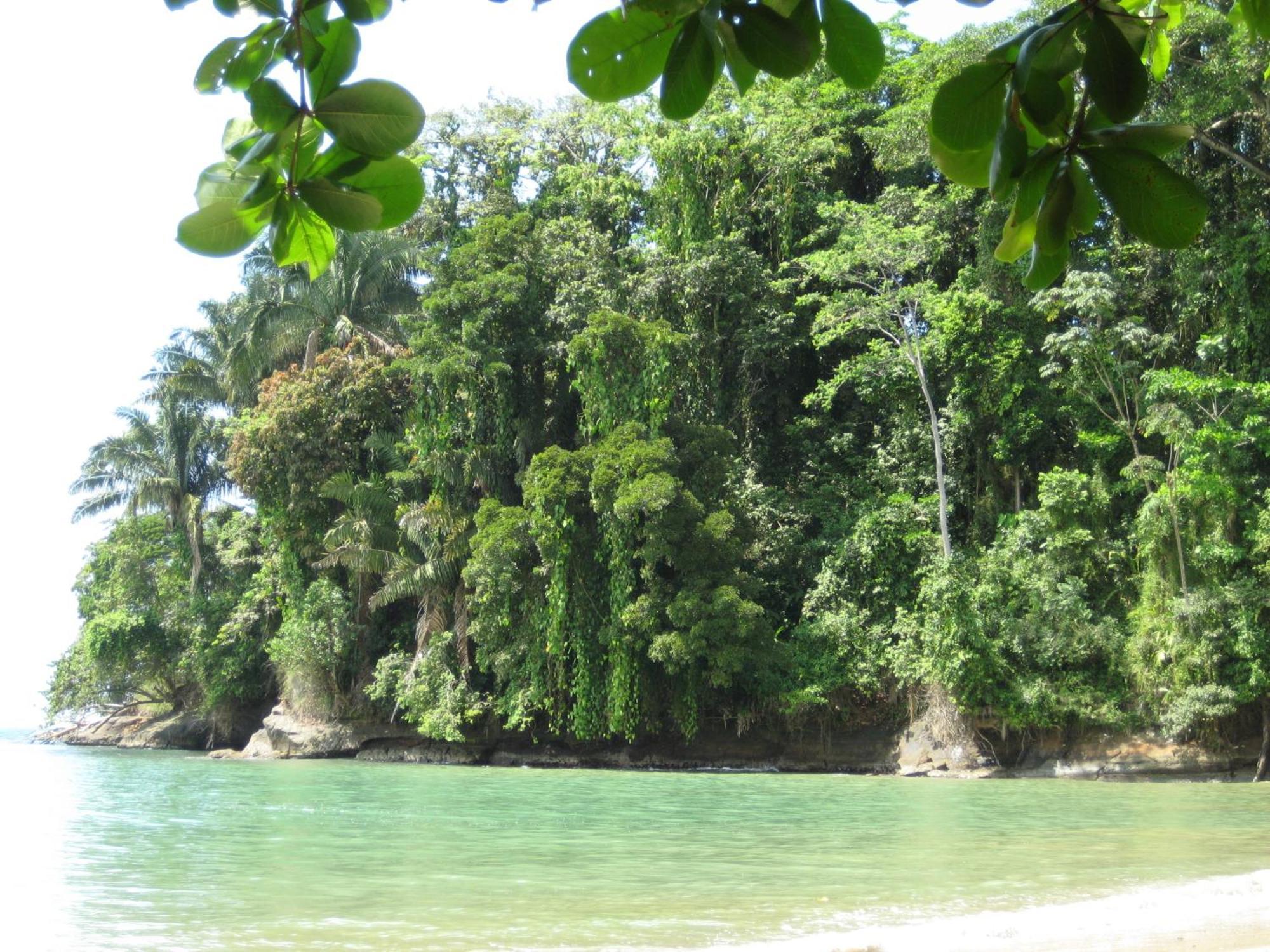 El Tucan Jungle Lodge Puerto Viejo de Talamanca Zewnętrze zdjęcie