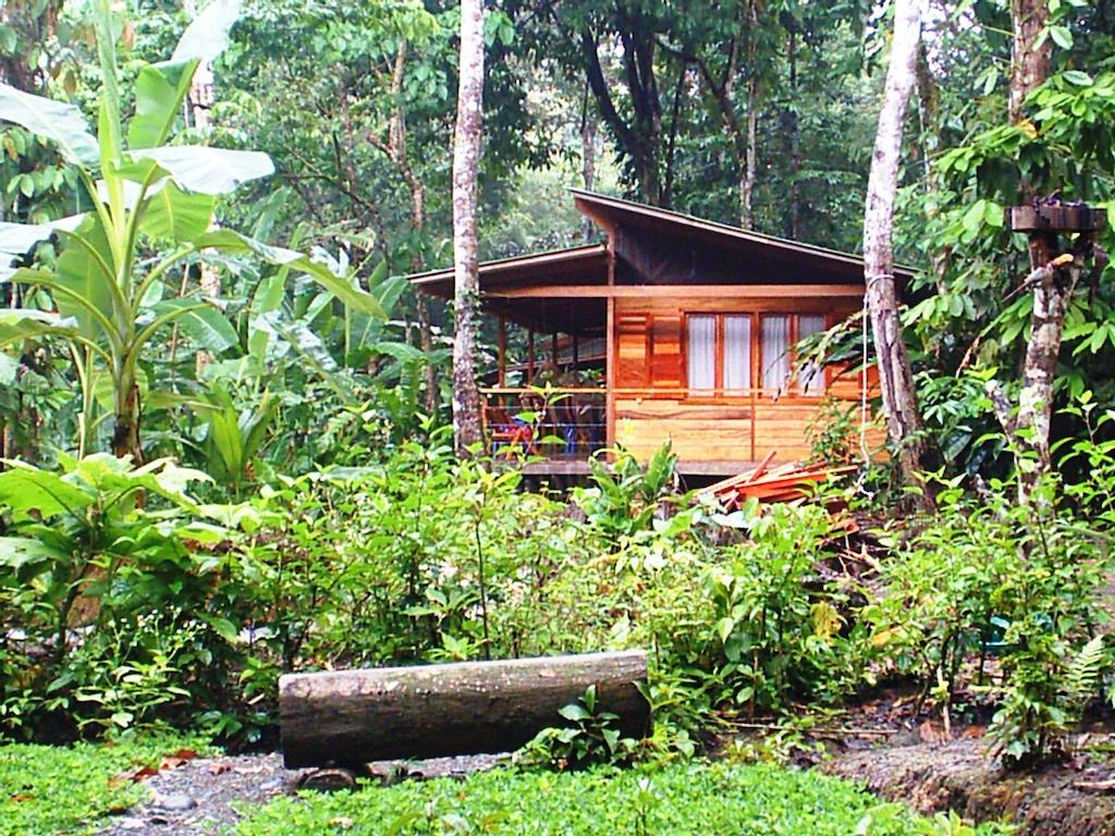 El Tucan Jungle Lodge Puerto Viejo de Talamanca Zewnętrze zdjęcie