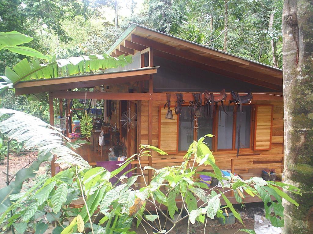 El Tucan Jungle Lodge Puerto Viejo de Talamanca Pokój zdjęcie