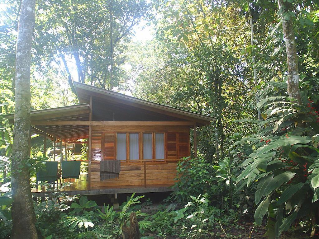 El Tucan Jungle Lodge Puerto Viejo de Talamanca Pokój zdjęcie