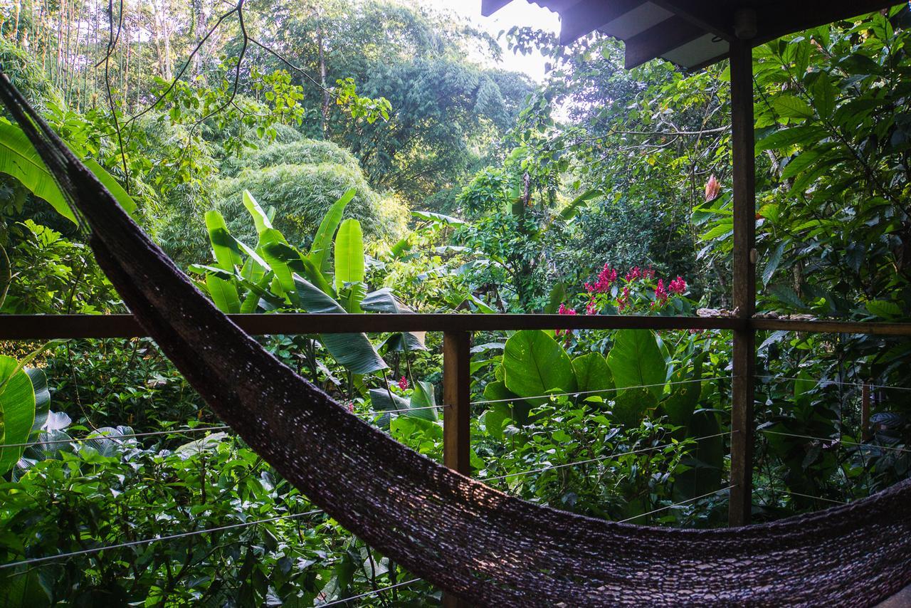 El Tucan Jungle Lodge Puerto Viejo de Talamanca Zewnętrze zdjęcie