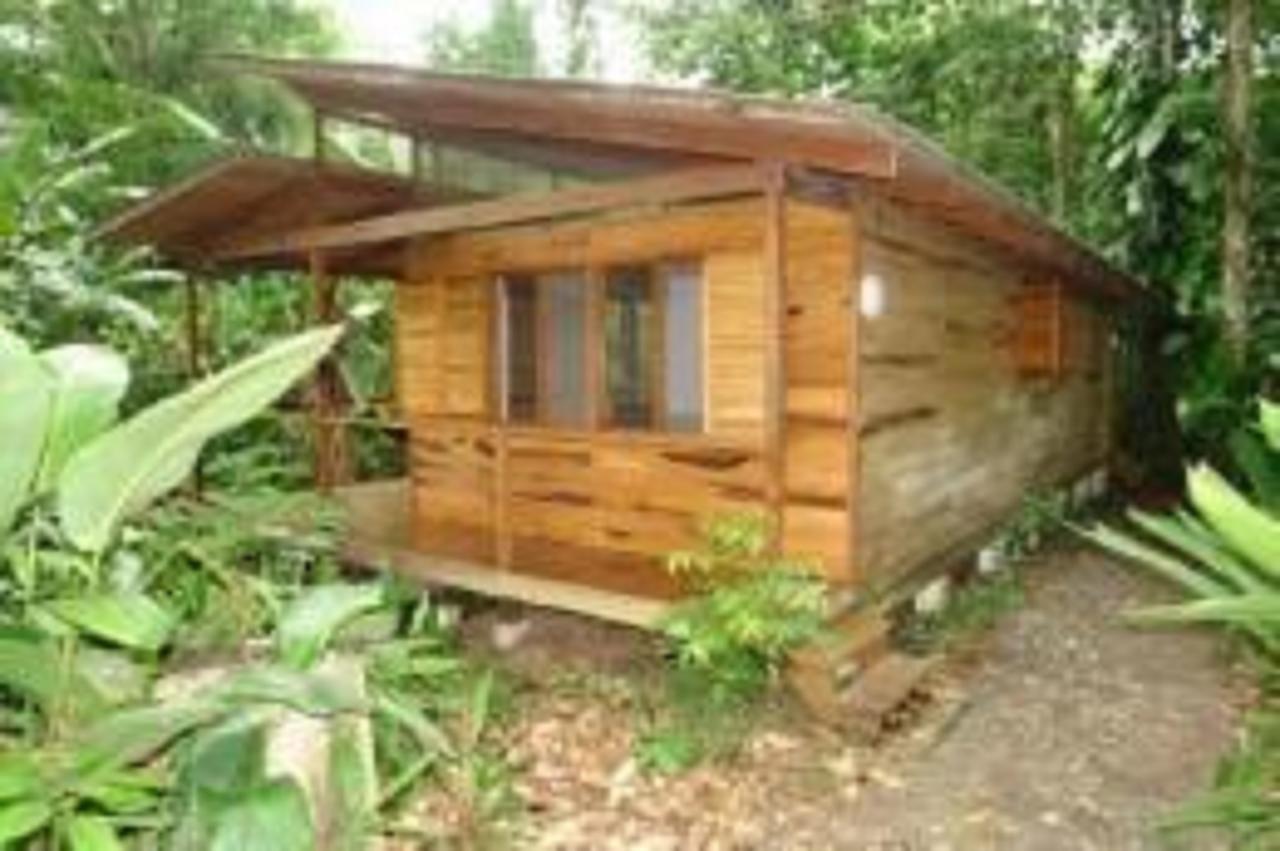 El Tucan Jungle Lodge Puerto Viejo de Talamanca Zewnętrze zdjęcie