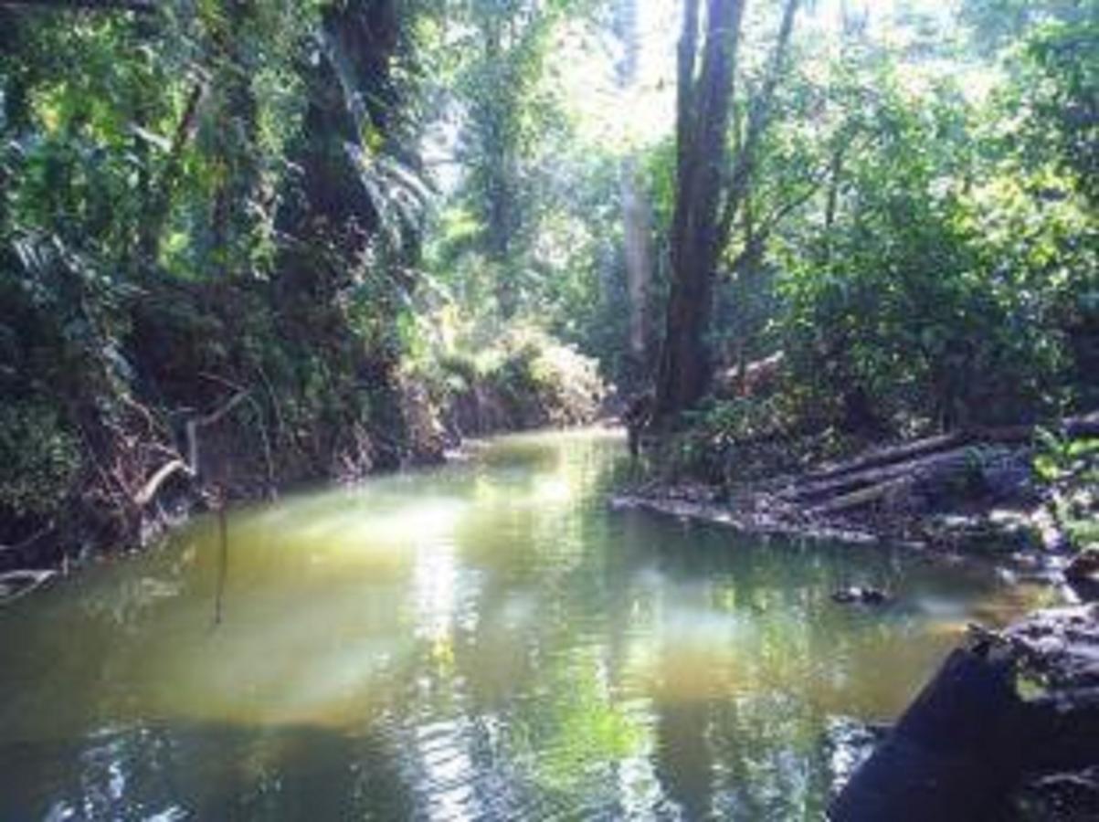 El Tucan Jungle Lodge Puerto Viejo de Talamanca Zewnętrze zdjęcie