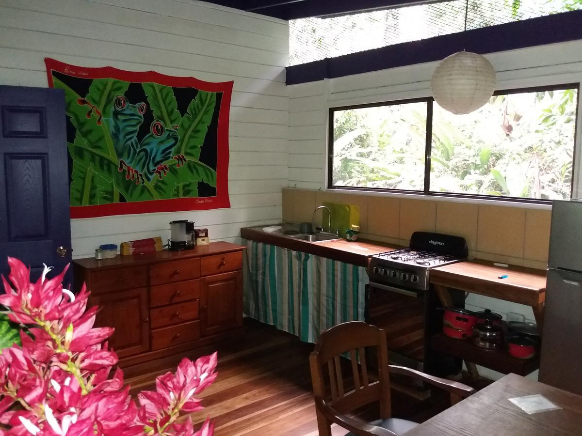 El Tucan Jungle Lodge Puerto Viejo de Talamanca Zewnętrze zdjęcie
