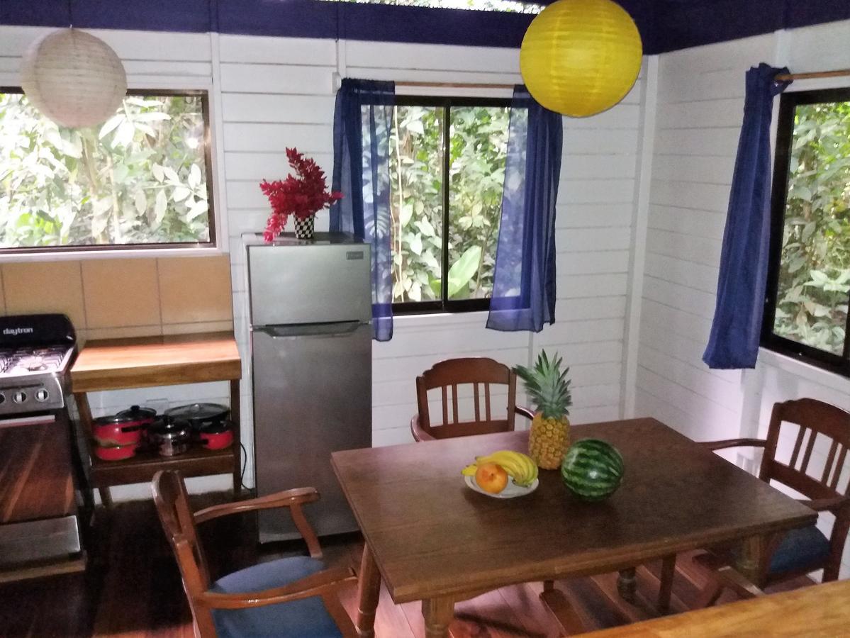 El Tucan Jungle Lodge Puerto Viejo de Talamanca Zewnętrze zdjęcie